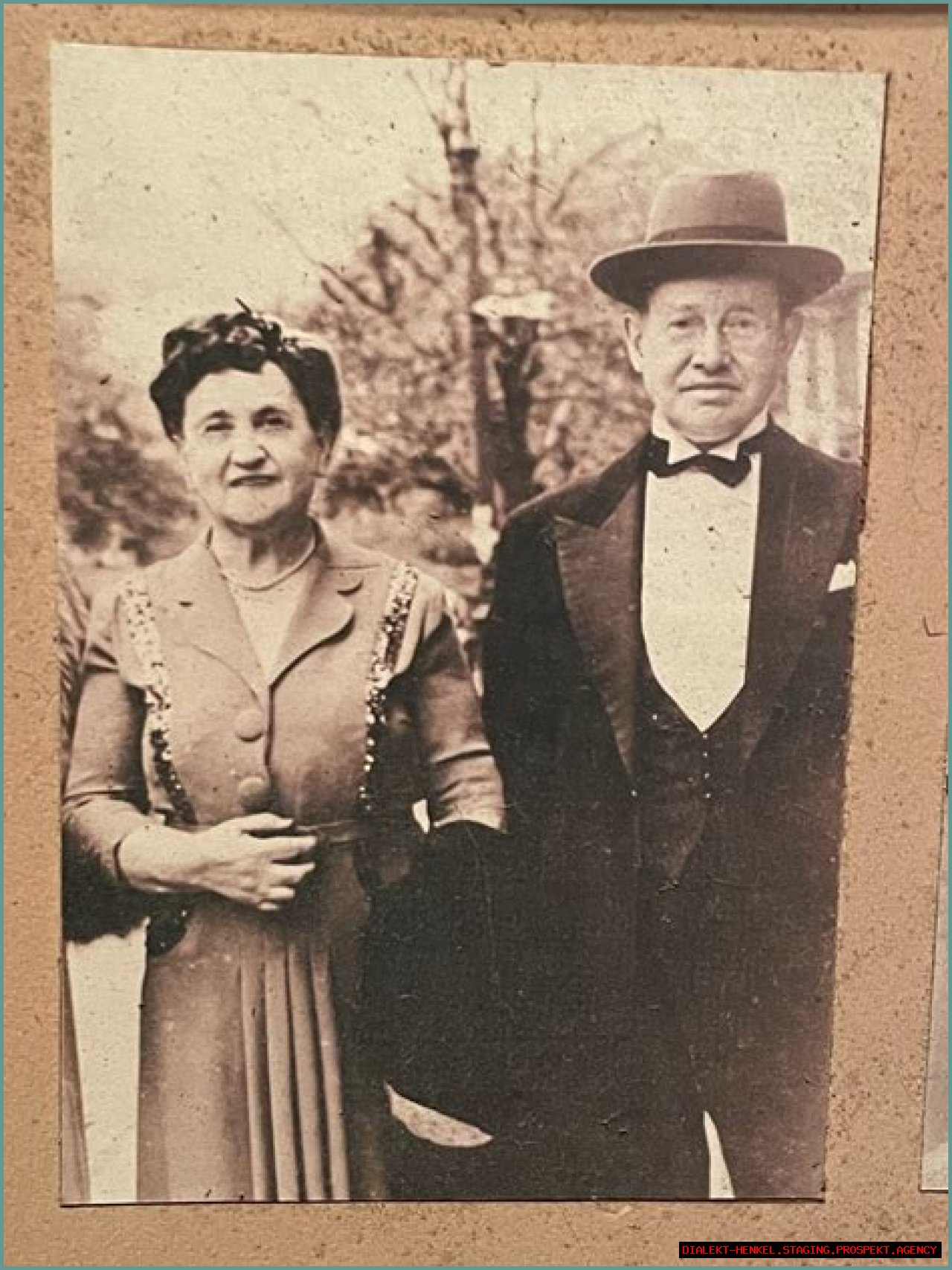 About Joseph Guttman - An SEO Expert With Proven Results